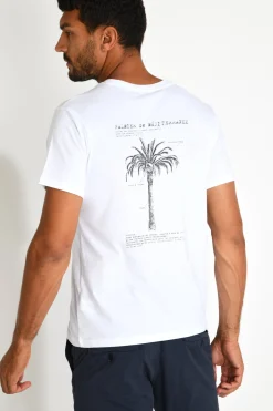 Cala 1789 T shirt blanc YANNPALDIC Best
